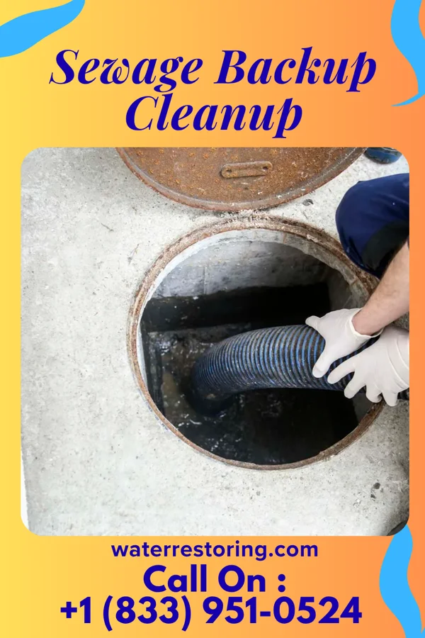 Sewage Backup Cleanup in Irvington, KY
