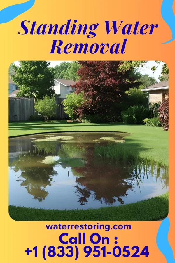Standing Water Removal in Irvington, KY